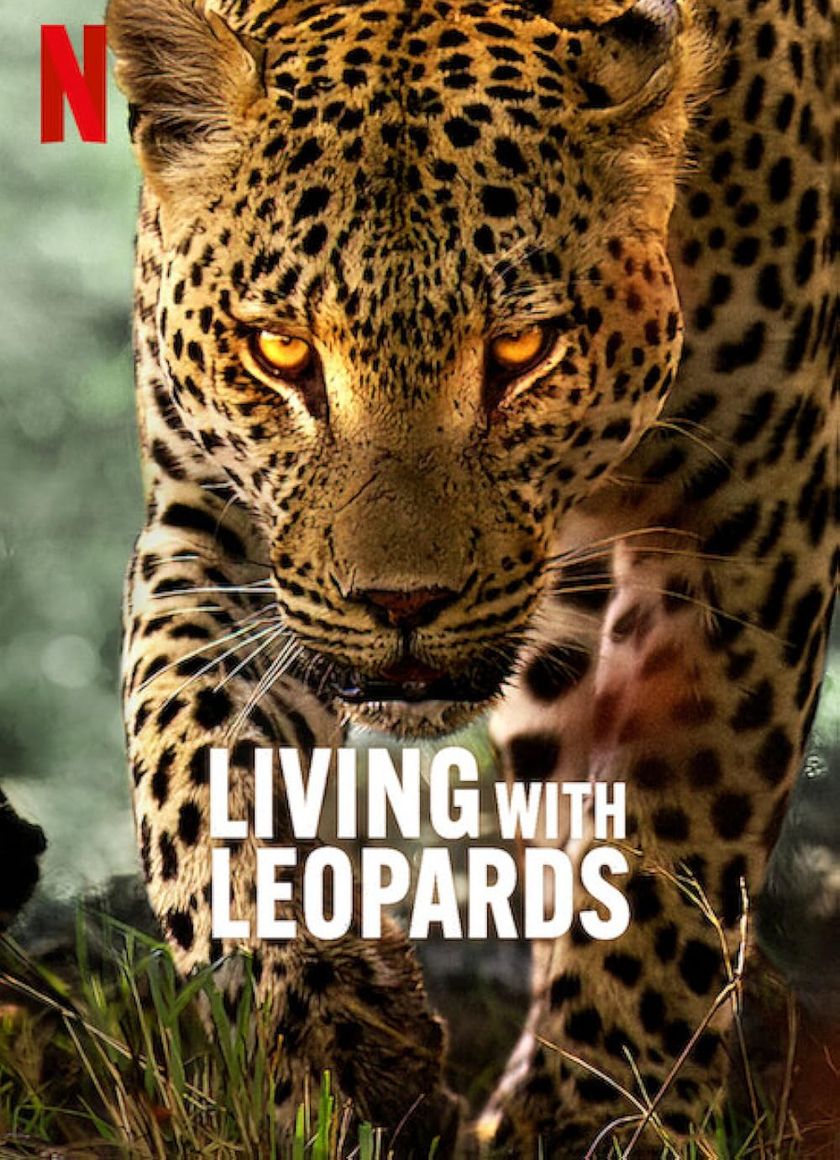 Living with Leopards