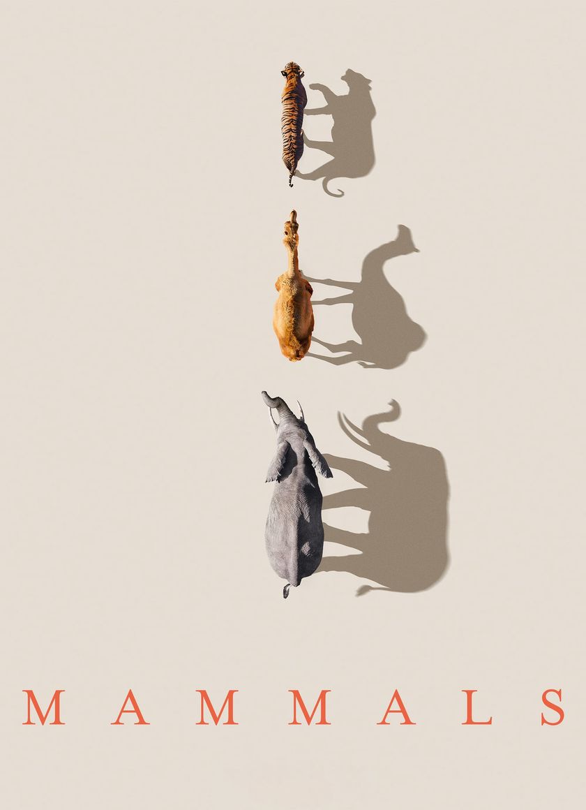 Mammals (2024)