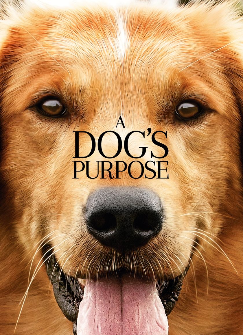 Mục Đích Sống Của Một Chú Chó