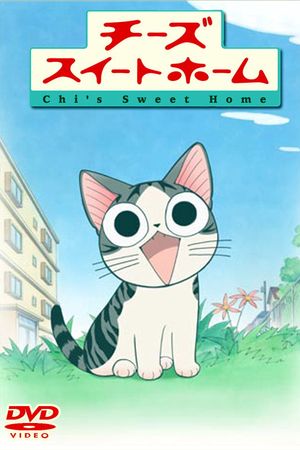 Mái Ấm Của Mèo Chi