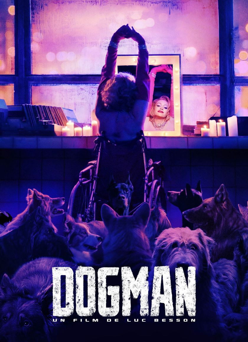 Người Bạn Của Chó