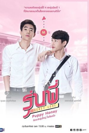 Người Tình Cún Con