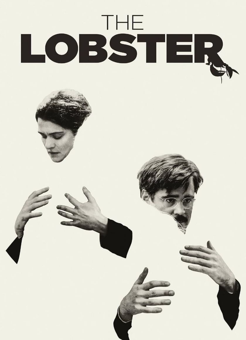 Những Người Độc Thân