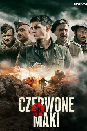 Những Đoá Anh Túc Đỏ