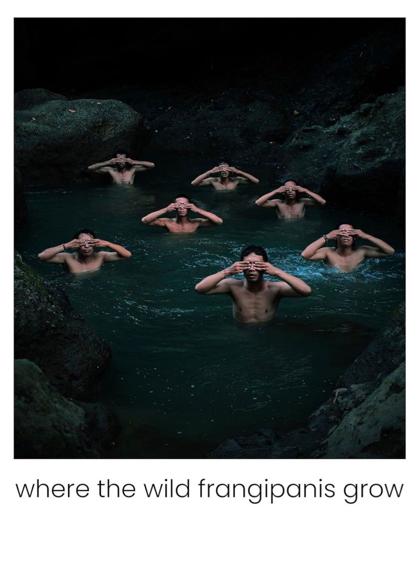 Nơi hoa sứ dại mọc