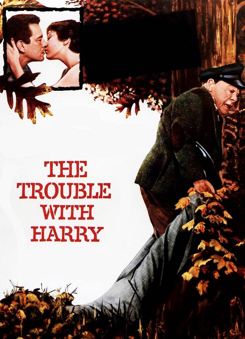 Nỗi Phiền Toái Về Harry