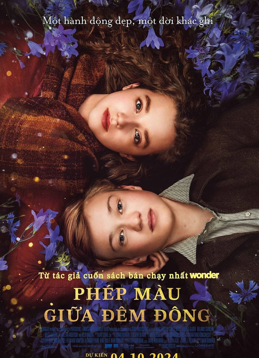 Phép Màu Giữa Đêm Đông