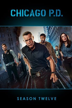 Sở Cảnh Sát Chicago (Phần 12)