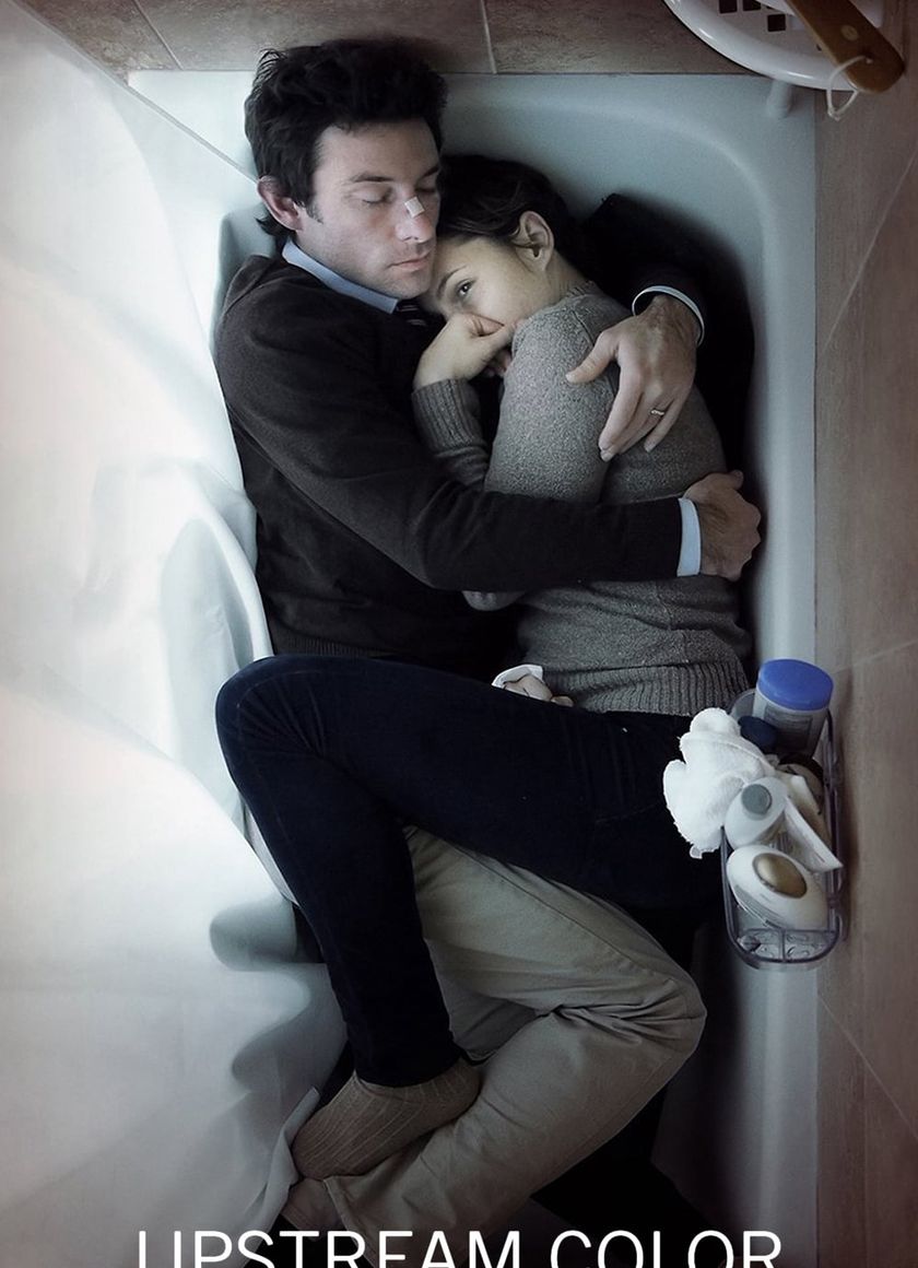 Sắc Màu Ngược Dòng