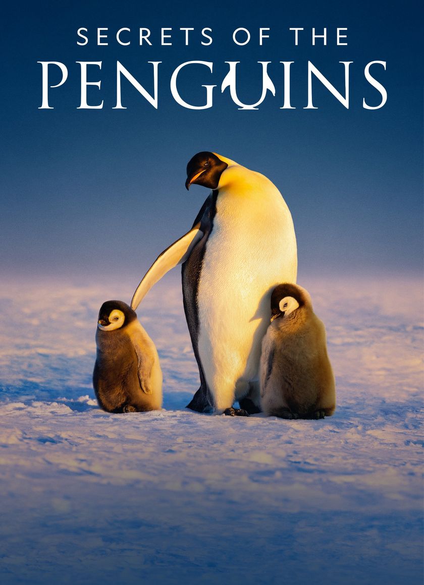 Secrets of the Penguins