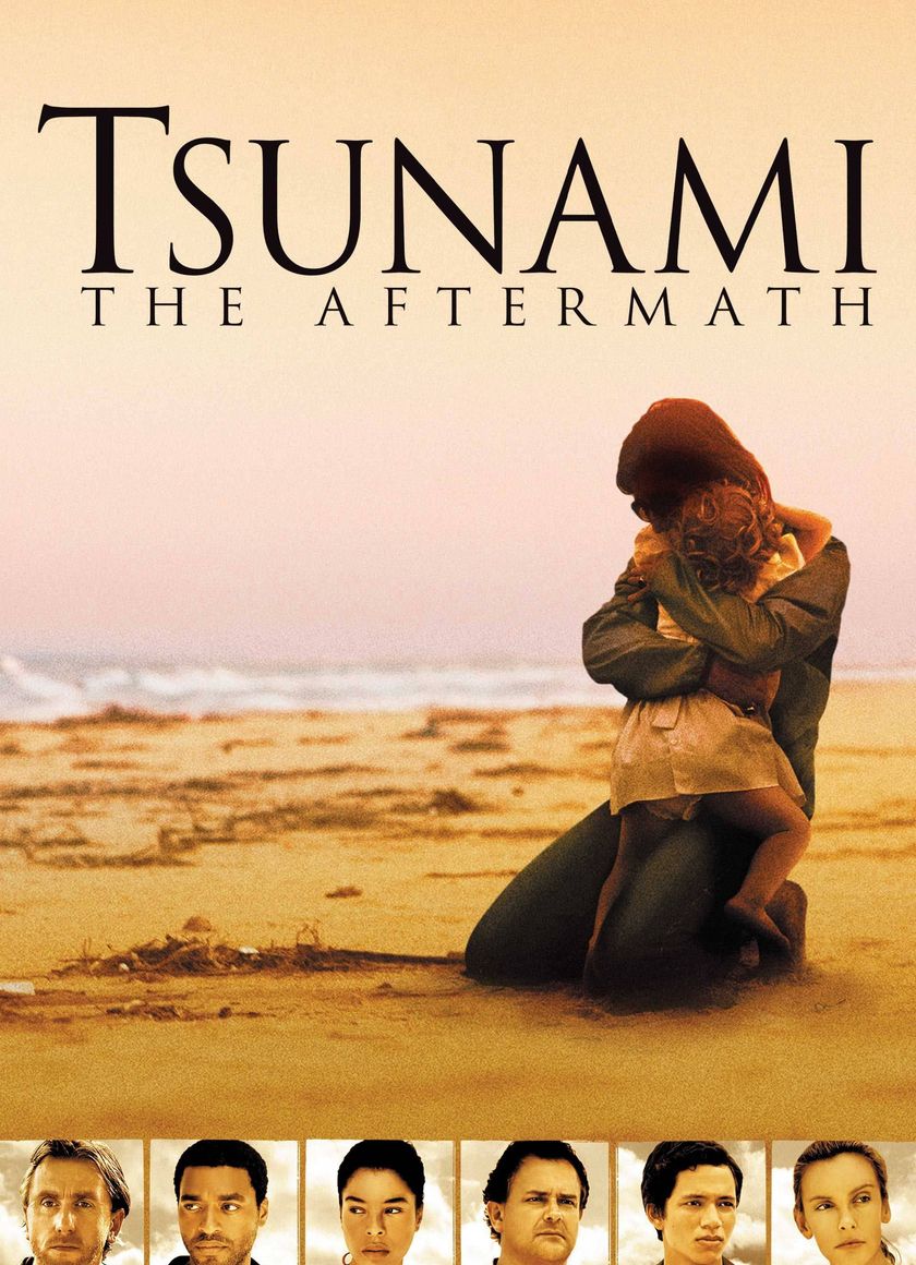 Sóng Thần: Hậu Quả