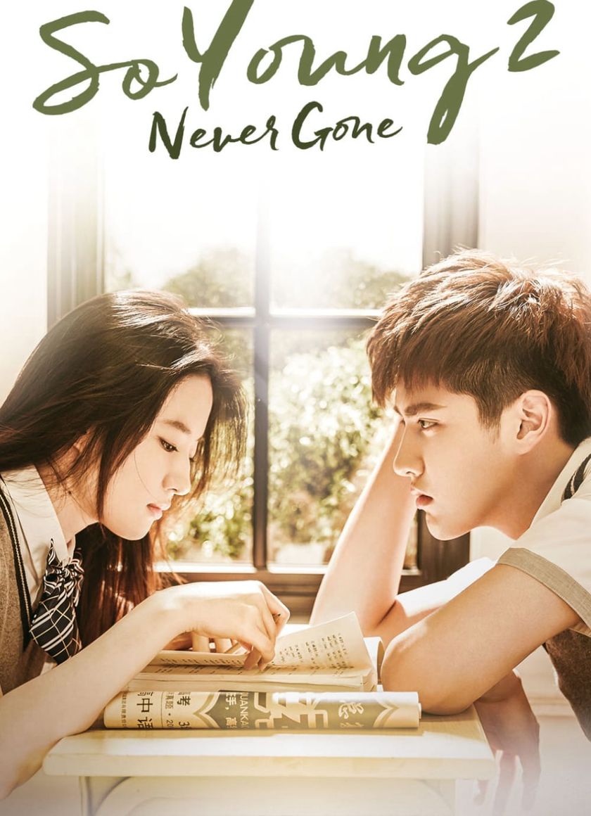 So Young 2: So You're Still Here