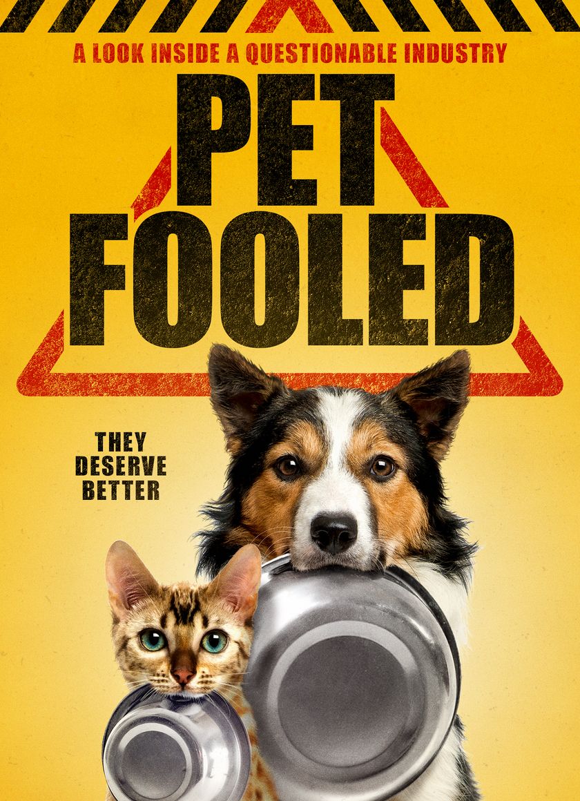 Thú Cưng Đang Ăn Gì?