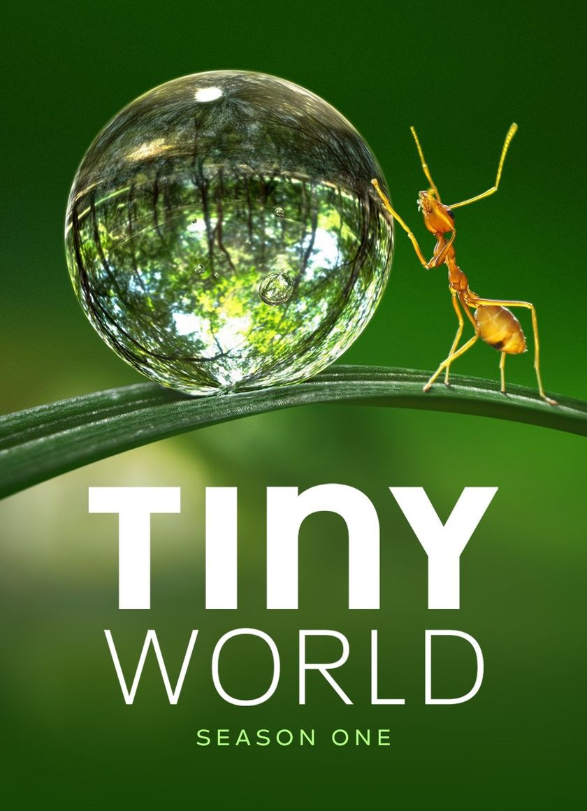 Thế Giới Siêu Nhỏ (Phần 1)