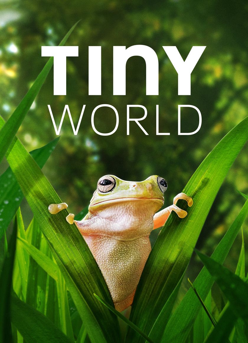 Thế Giới Siêu Nhỏ (Phần 2)