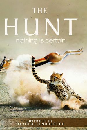 The Hunt