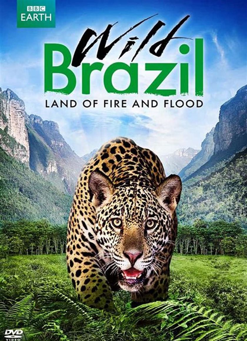 Thiên Nhiên Brazil Hoang Dã