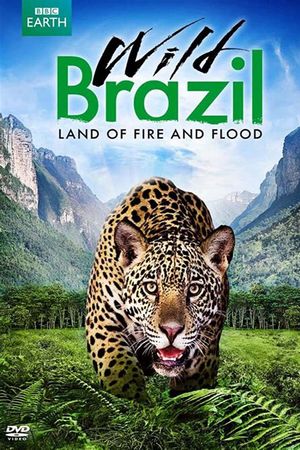 Thiên Nhiên Brazil Hoang Dã