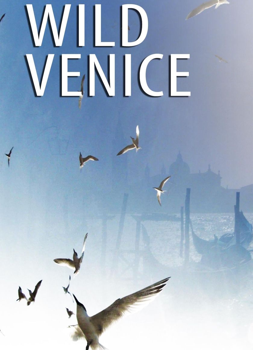 Thiên Nhiên Hoang Dã Venice