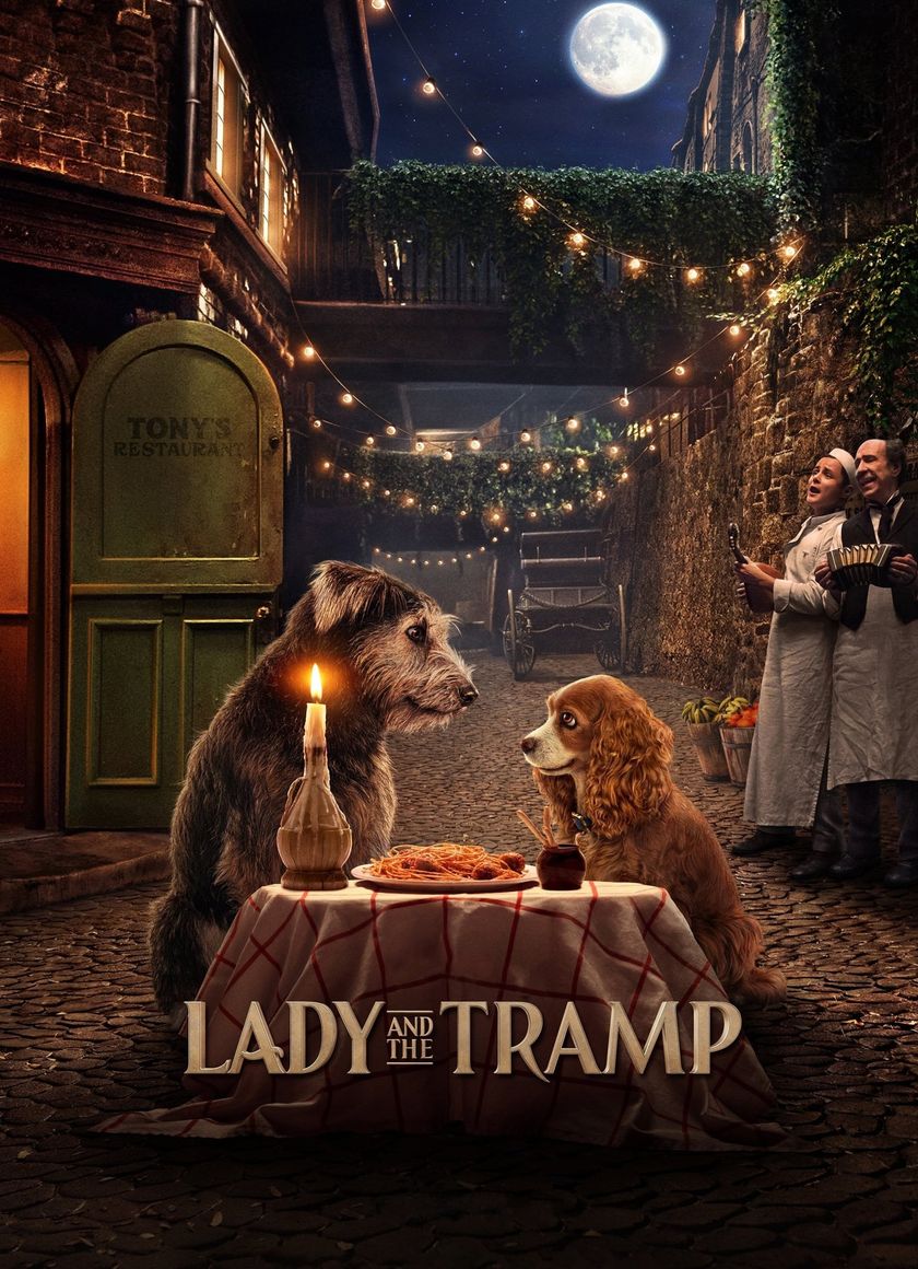 Tiểu Thư và Gã Lang Thang