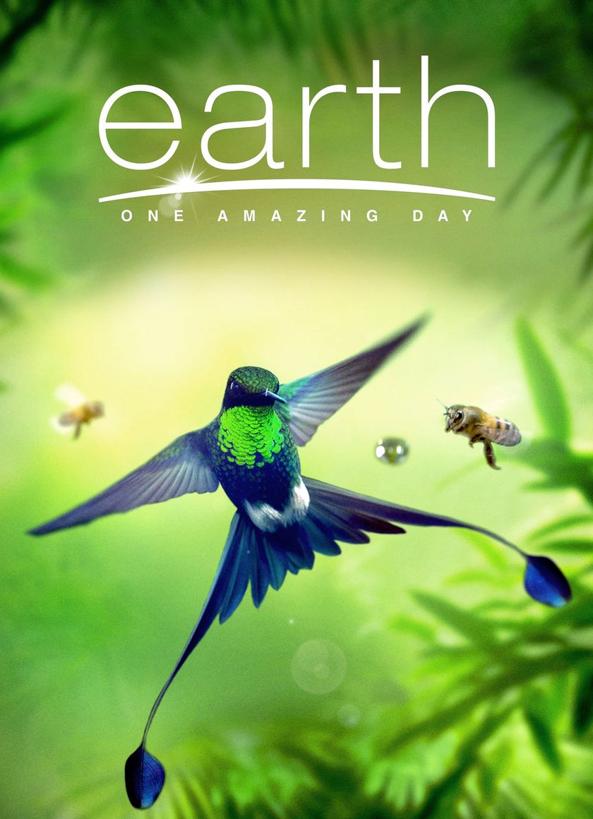 Trái Đất: Một Ngày Tuyệt Vời