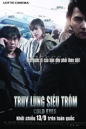 Truy Lùng Siêu Trộm