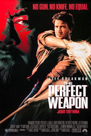 Vũ Khí Hoàn Hảo