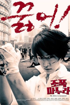 Vợ Tôi Là Gangster