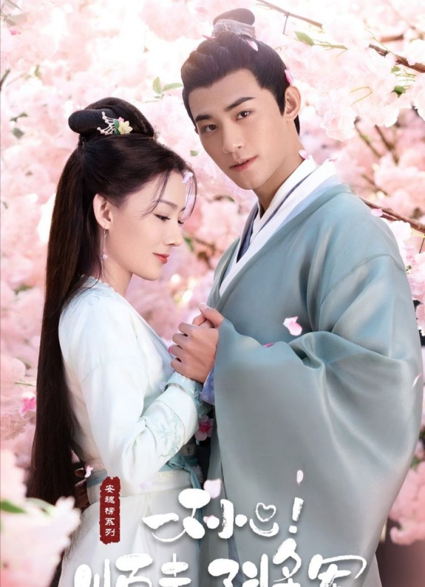 Vô Tình Phải Lòng Tướng Quân (Trộm Phải Tim Chàng)